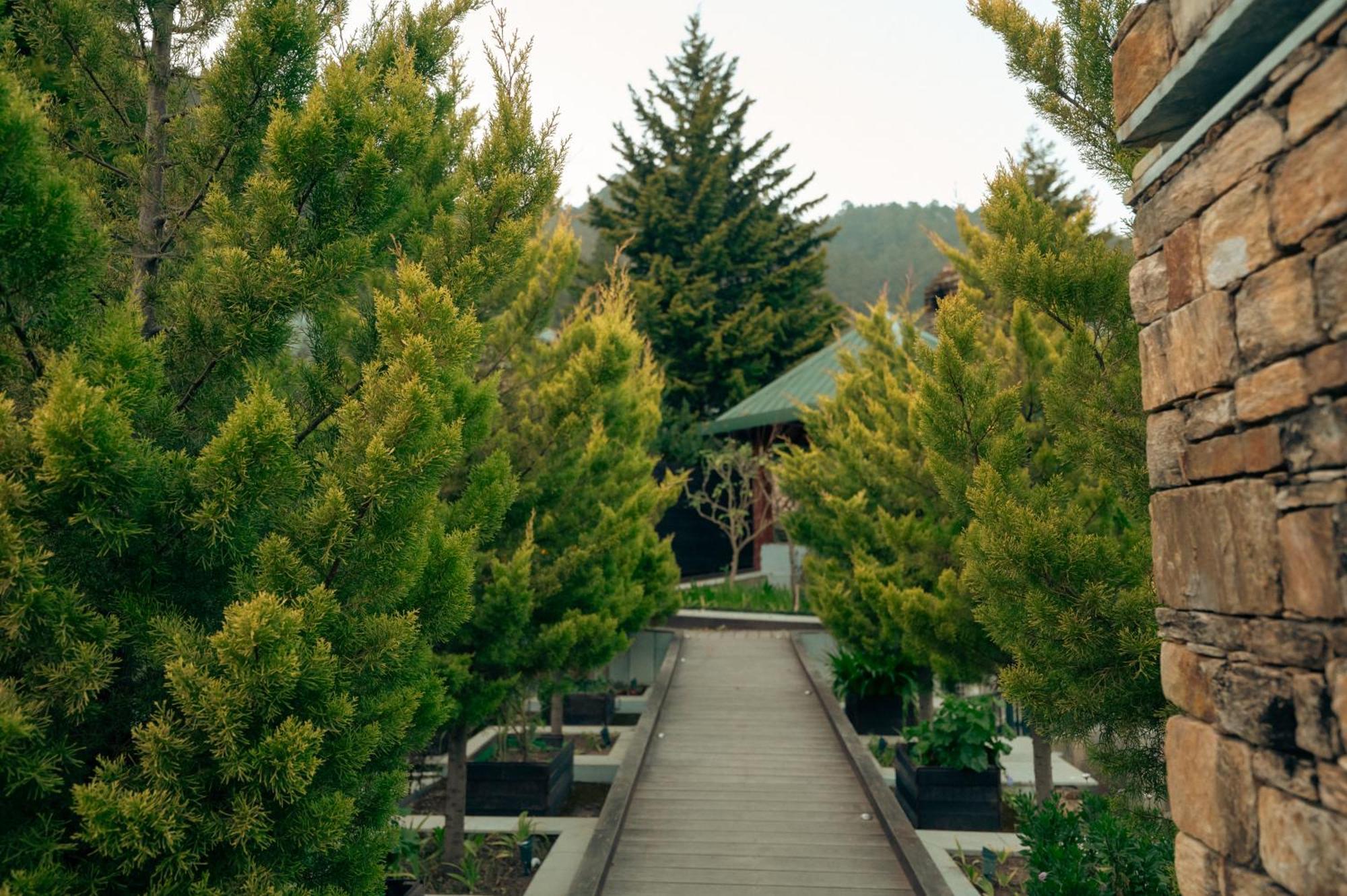 Brij Atmanya Bhowali, Nainital, A Luxury Mountain Escape Exteriér fotografie